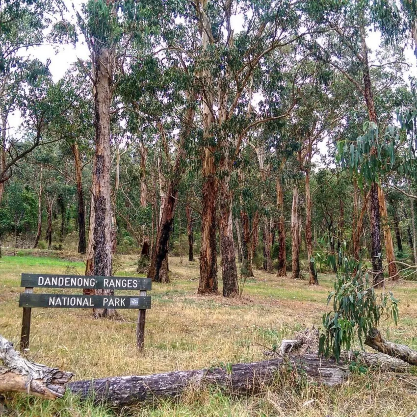 Mount Dandenong