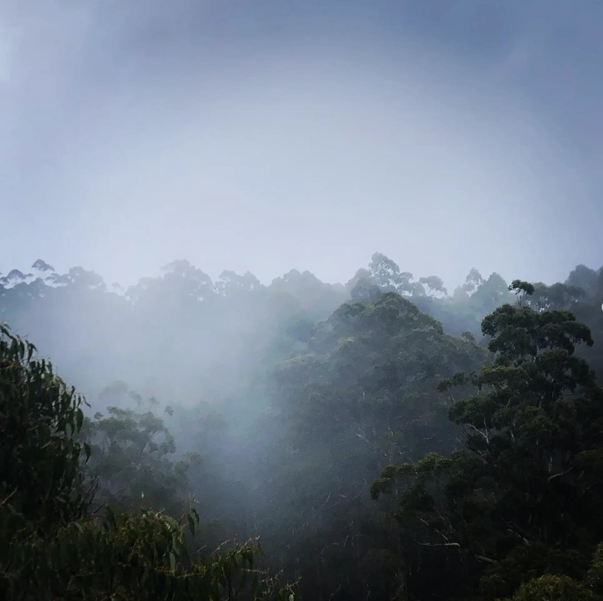 Otway National Park