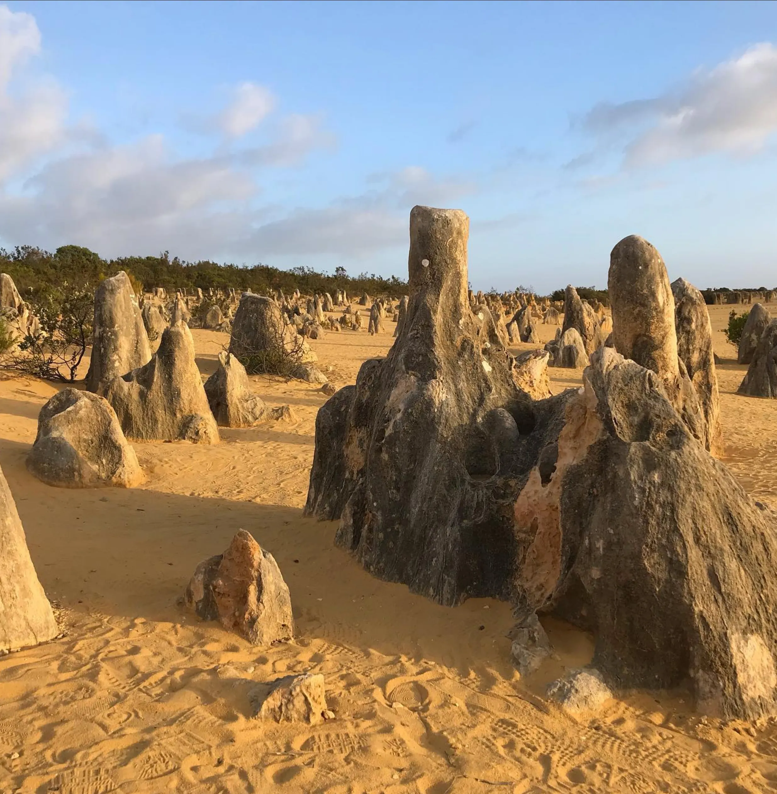 Pinnacles Desert Discovery Centre