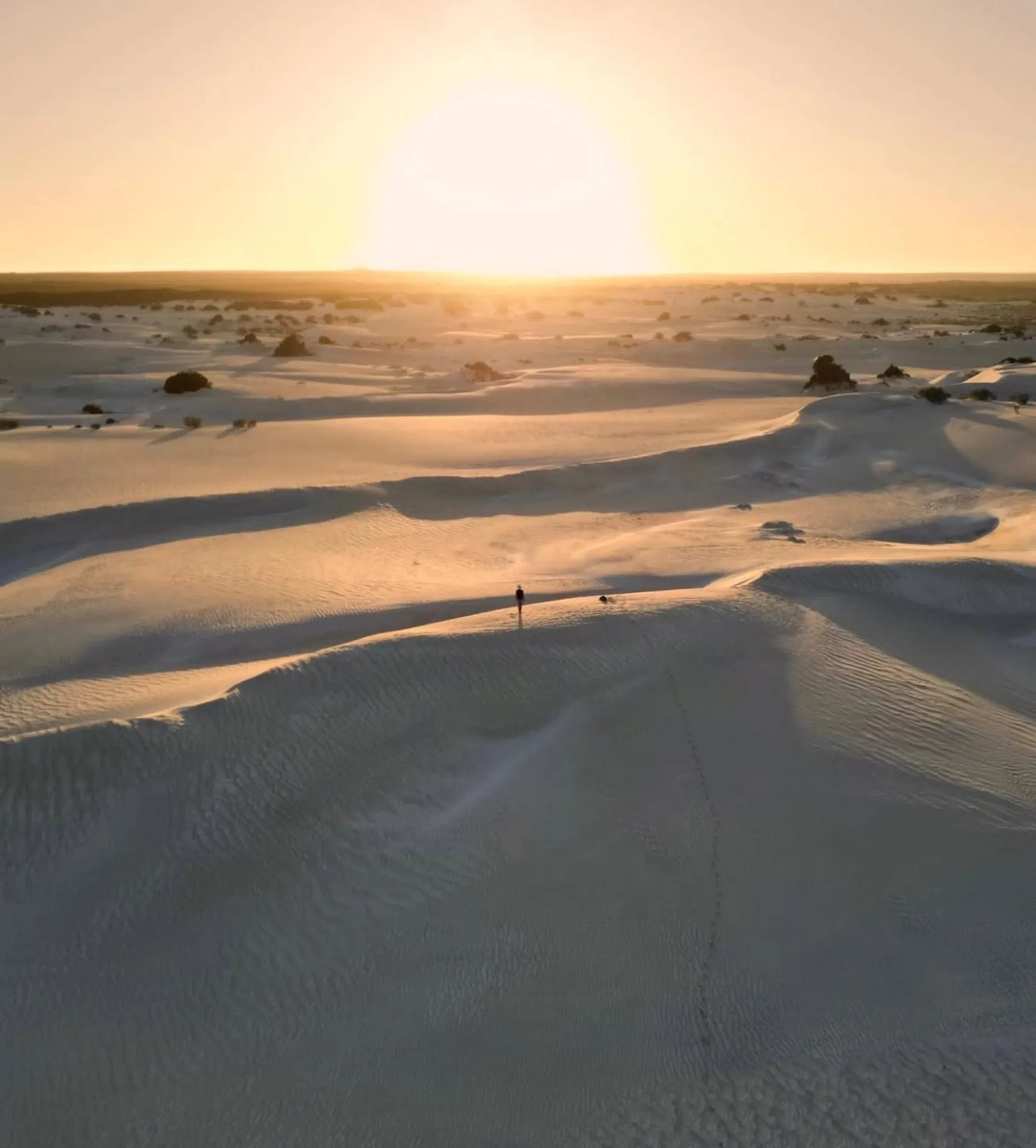 coastal dunes, Pinnacles