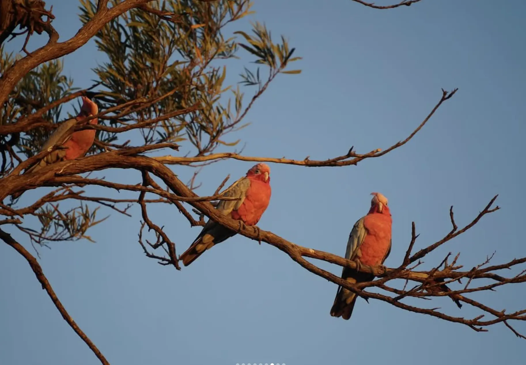 Kalbarri National Park