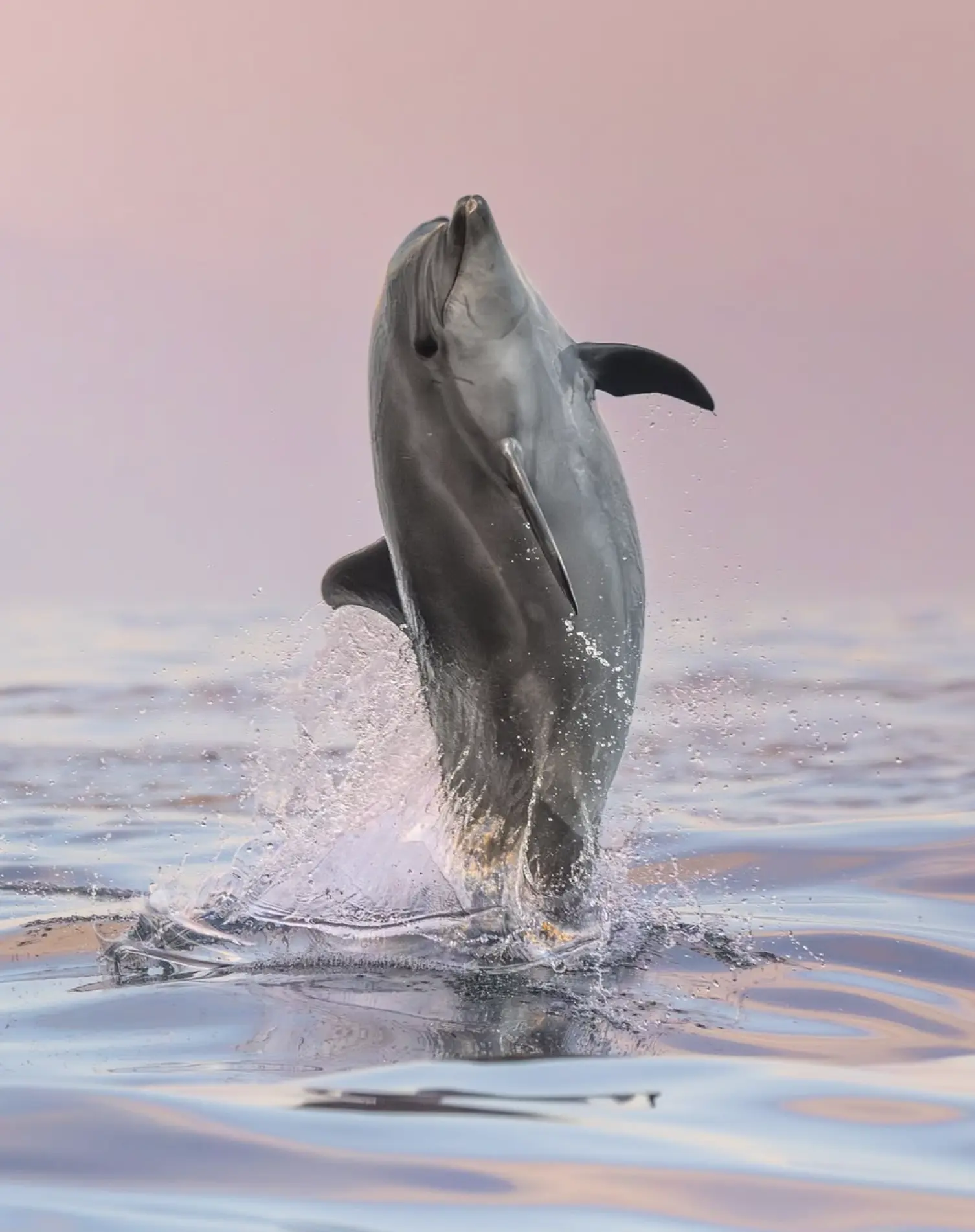 Marine Conservation Australia