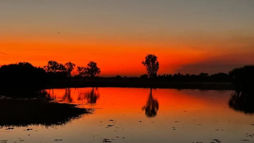 Is Kakadu free